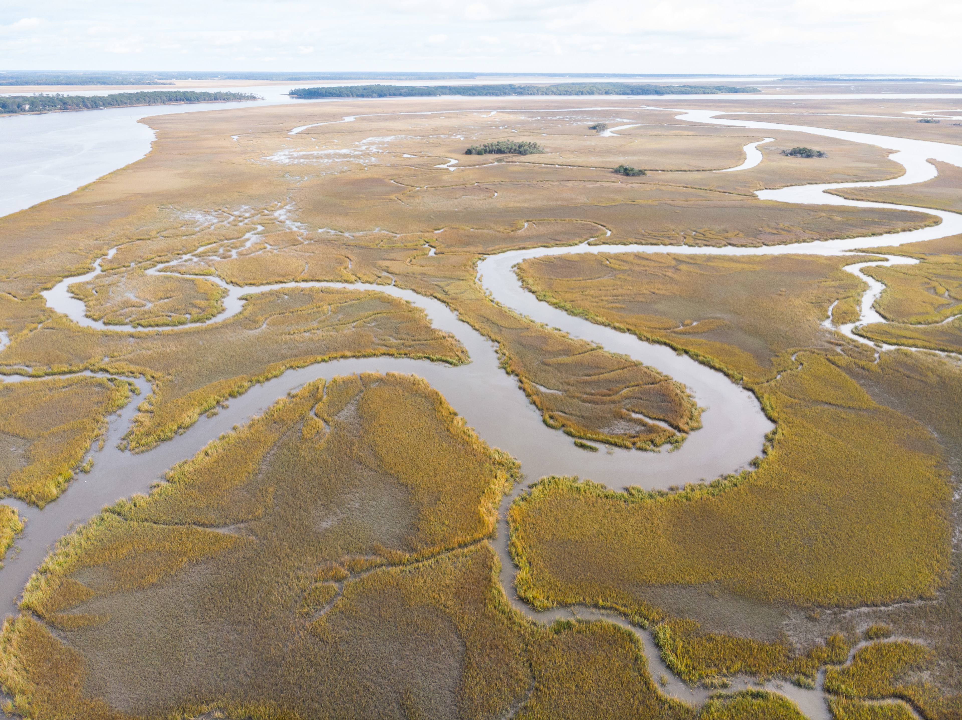 Creeks and Marshes on Edisto Island, SC
