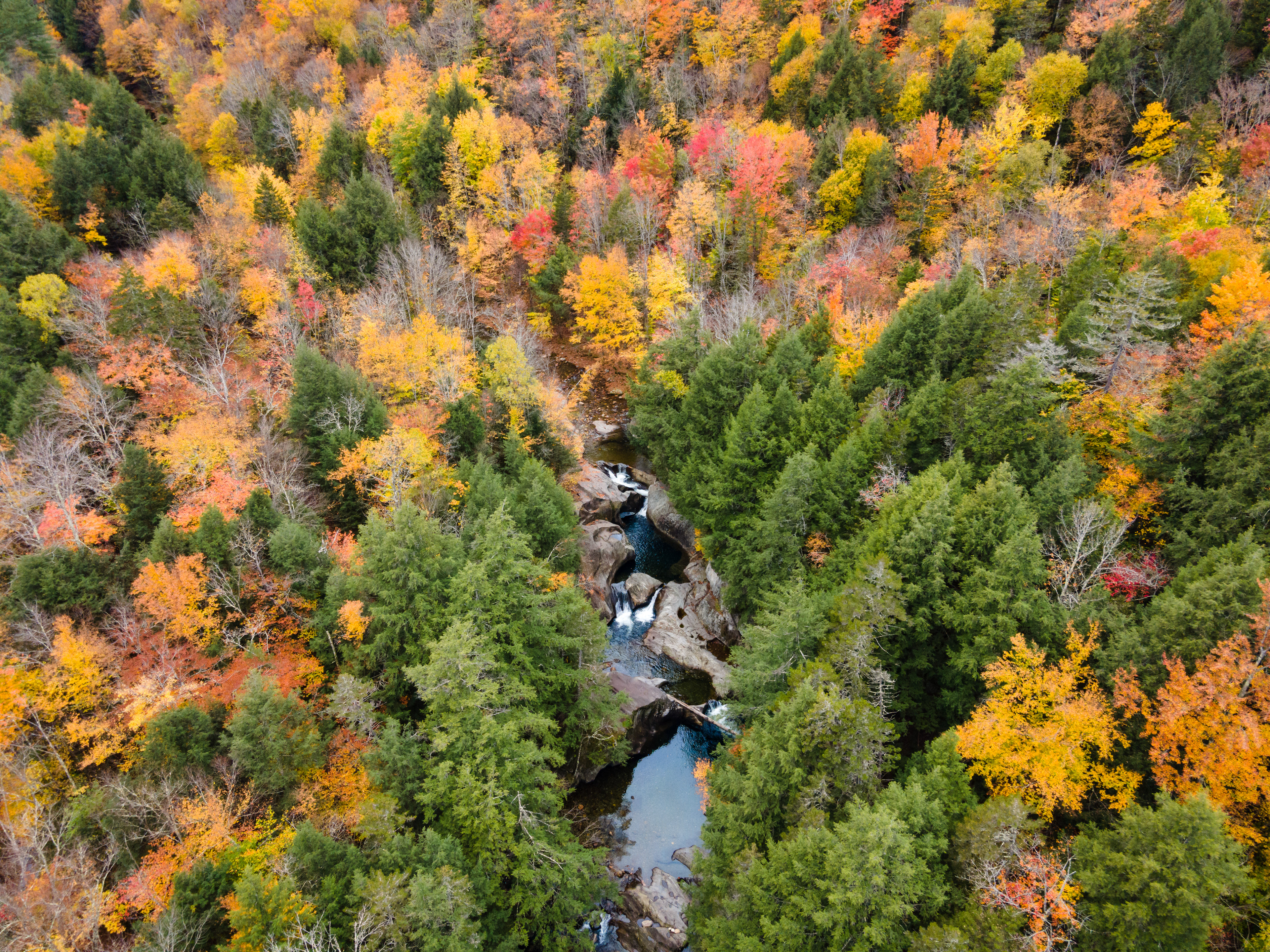 Warren Falls in Autumn in the Green Mountains, VT