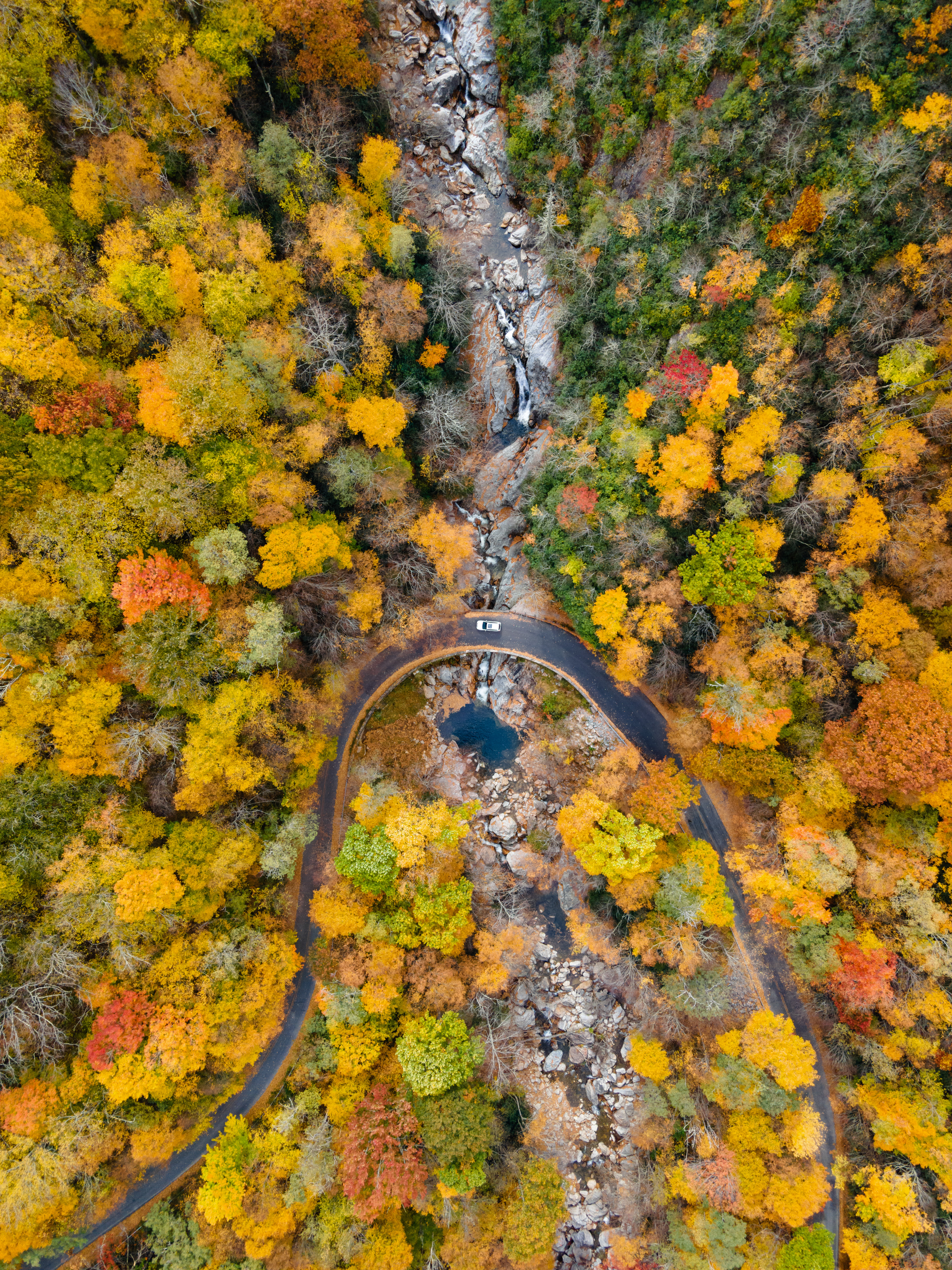 Scenic Drive in the Fall, Haywood Co.