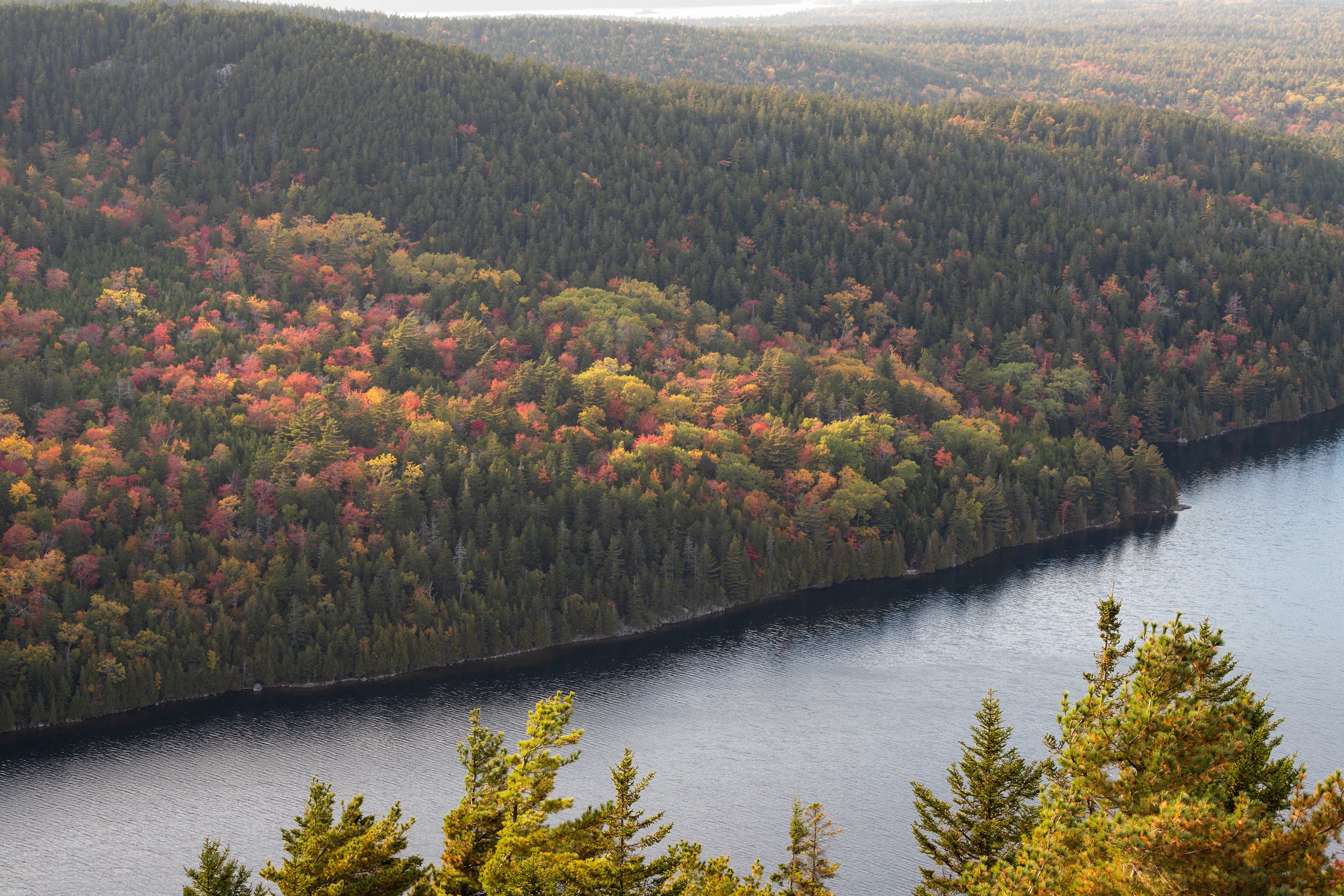 Fall Colors on Long Pond, Acadia NP