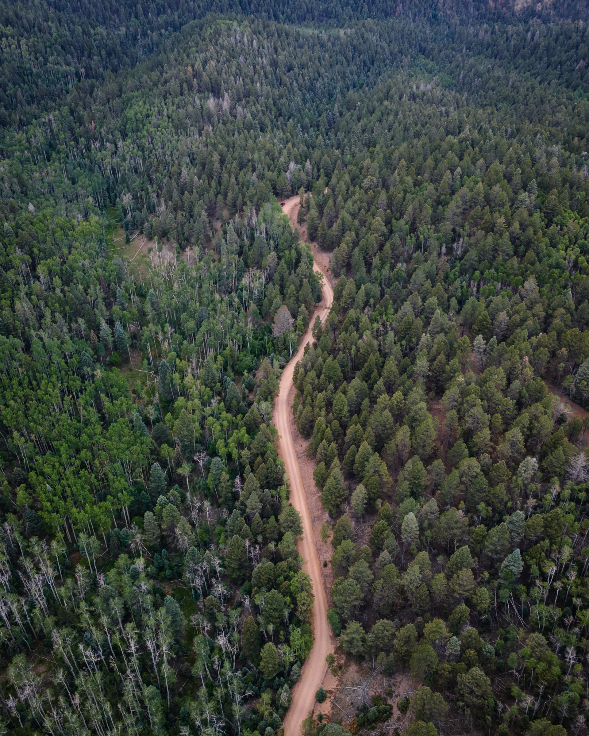 Mountain Road in the Sangre de Cristo Mountains, NM