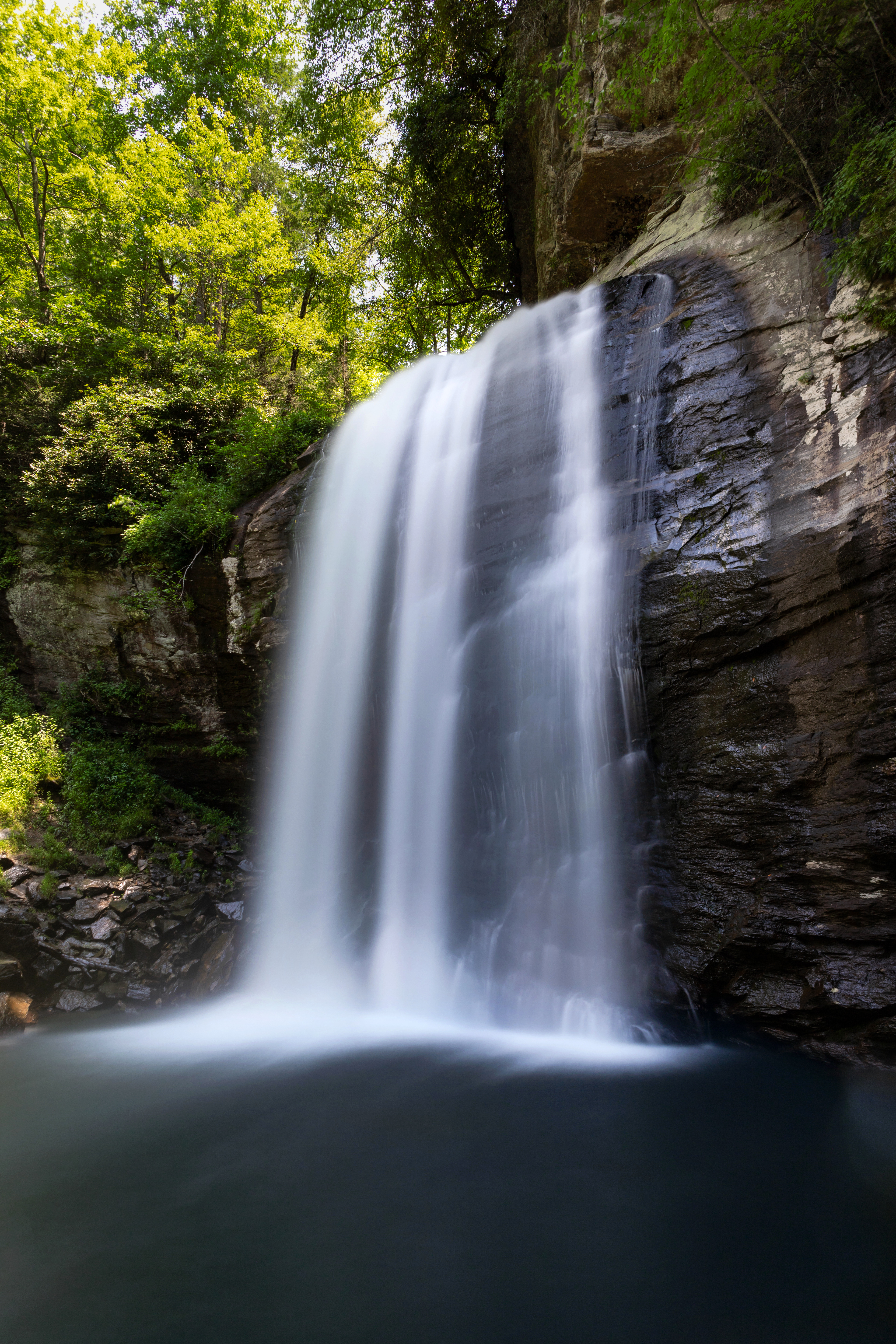 Looking Glass Falls, Transylvania Co.