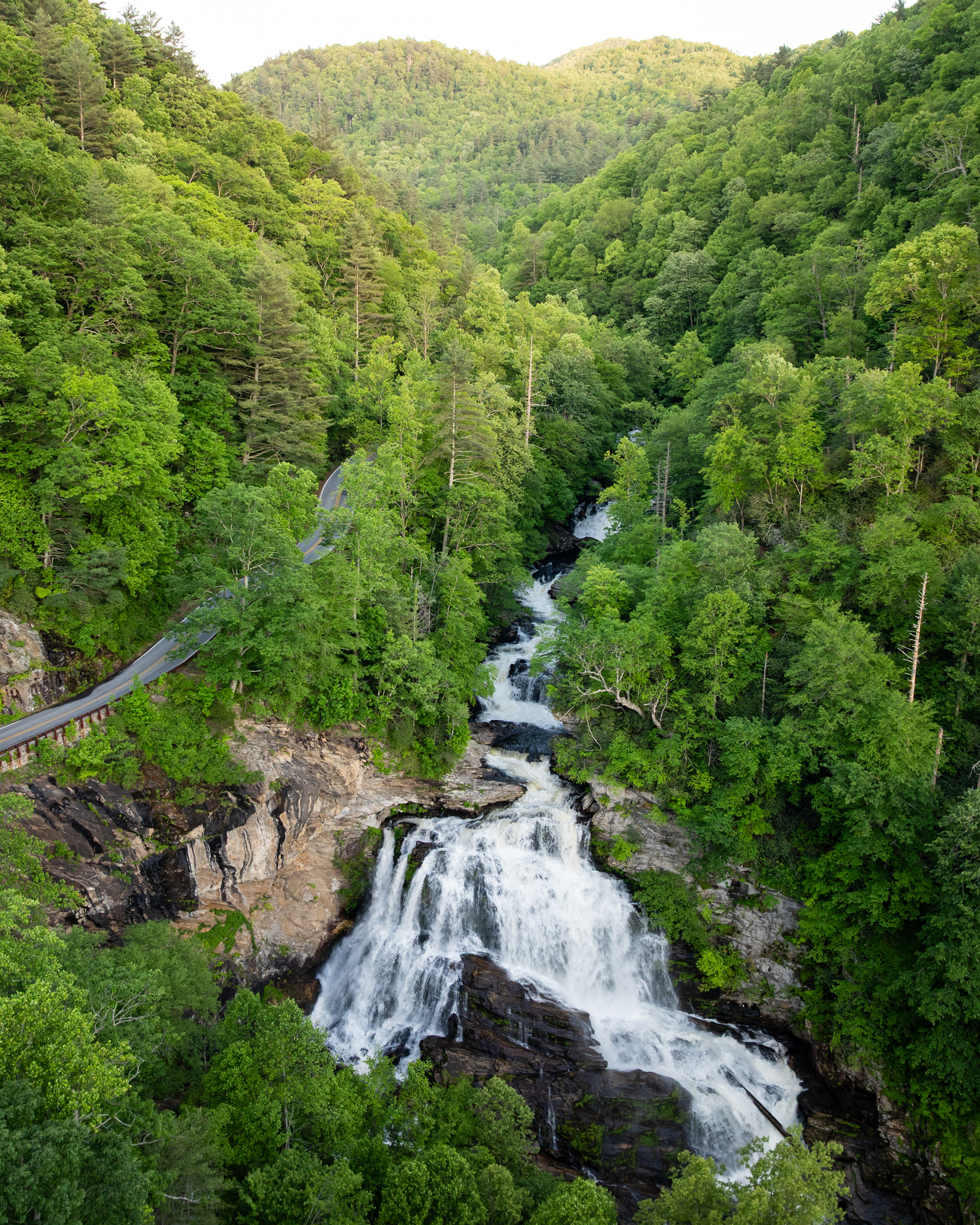 Evening Light in the Cullasaja Gorge, Macon Co.