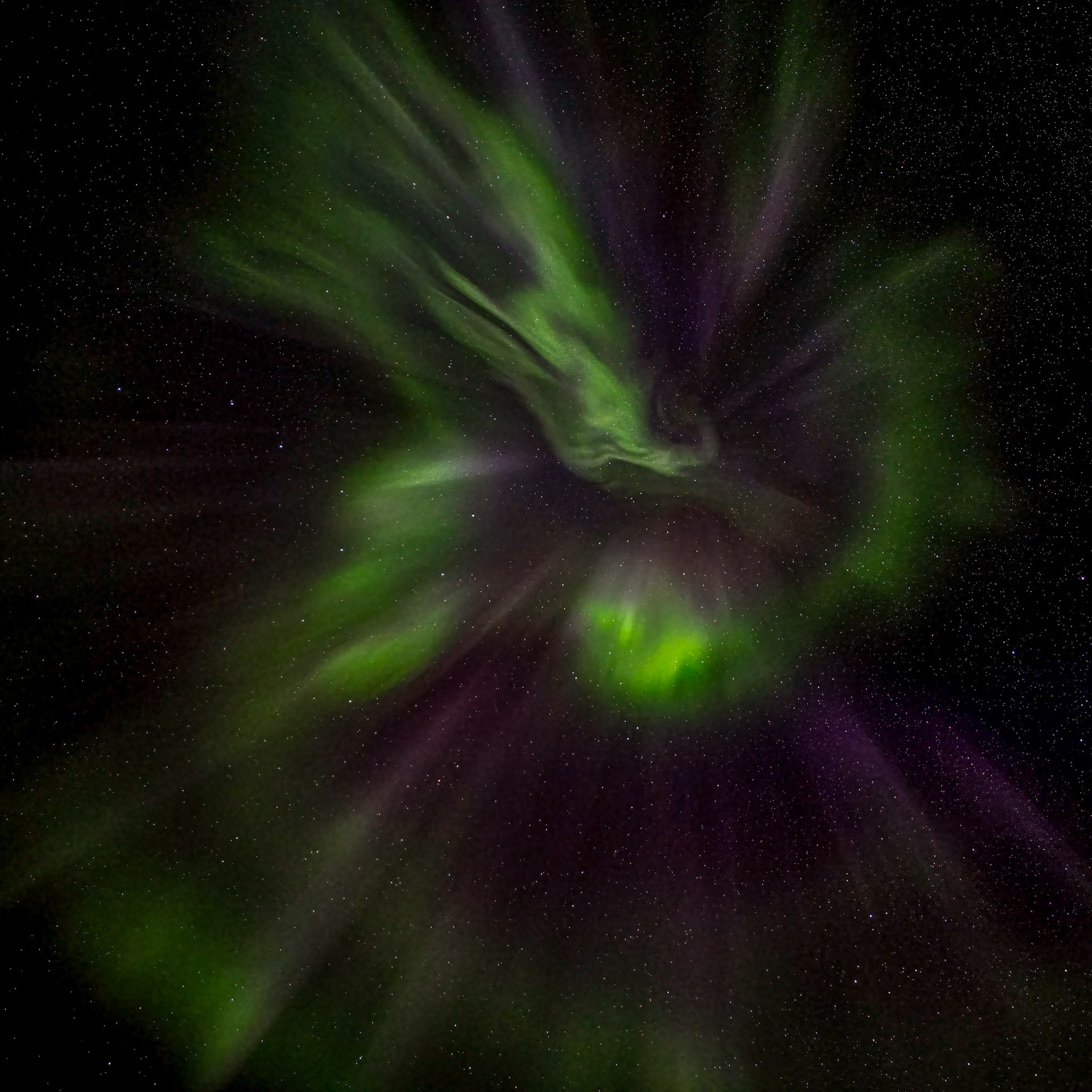 Aurora balerina - Ny-Ålesund, Svalbard