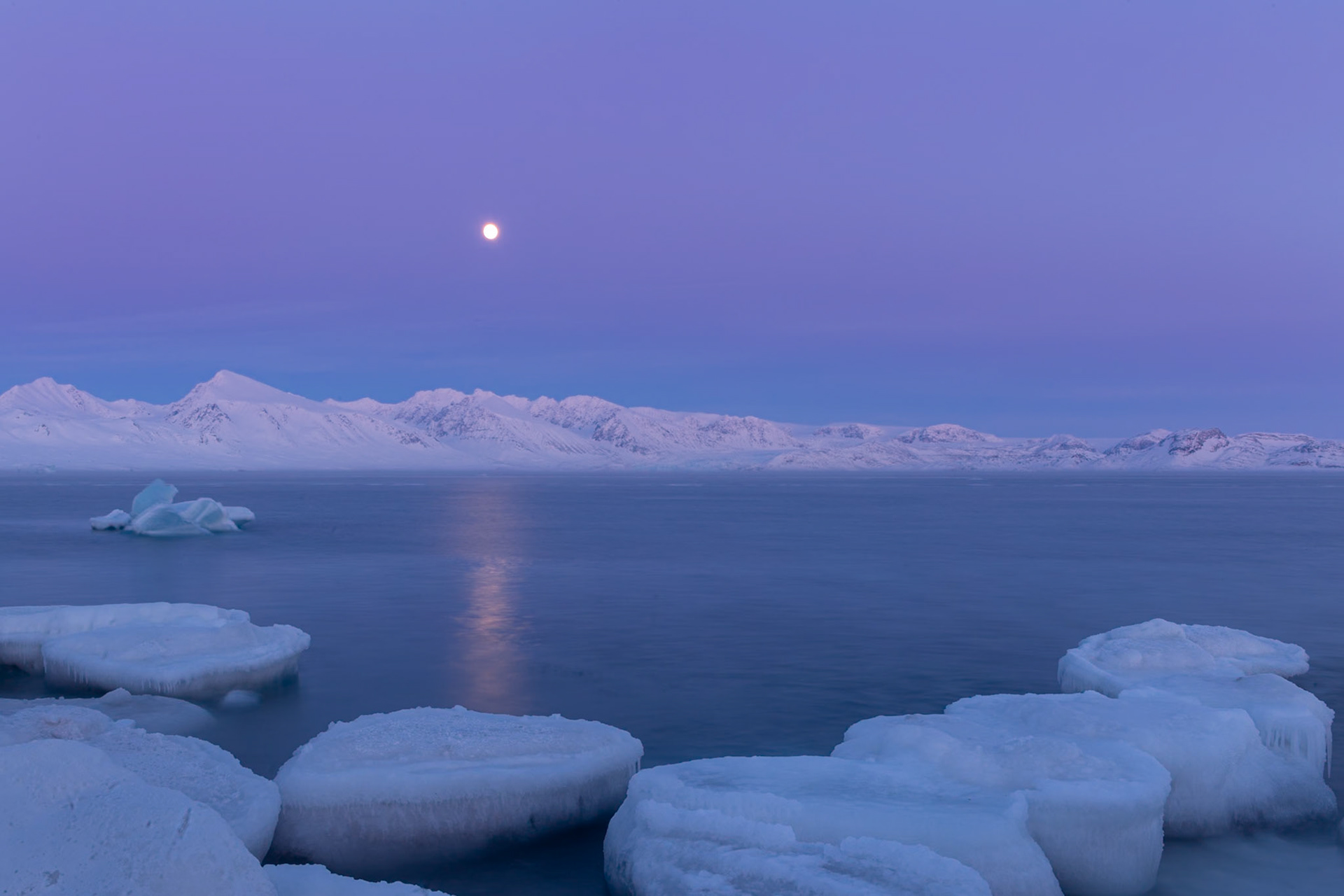 Blåtimen - Ny-Ålesund, Svalbard