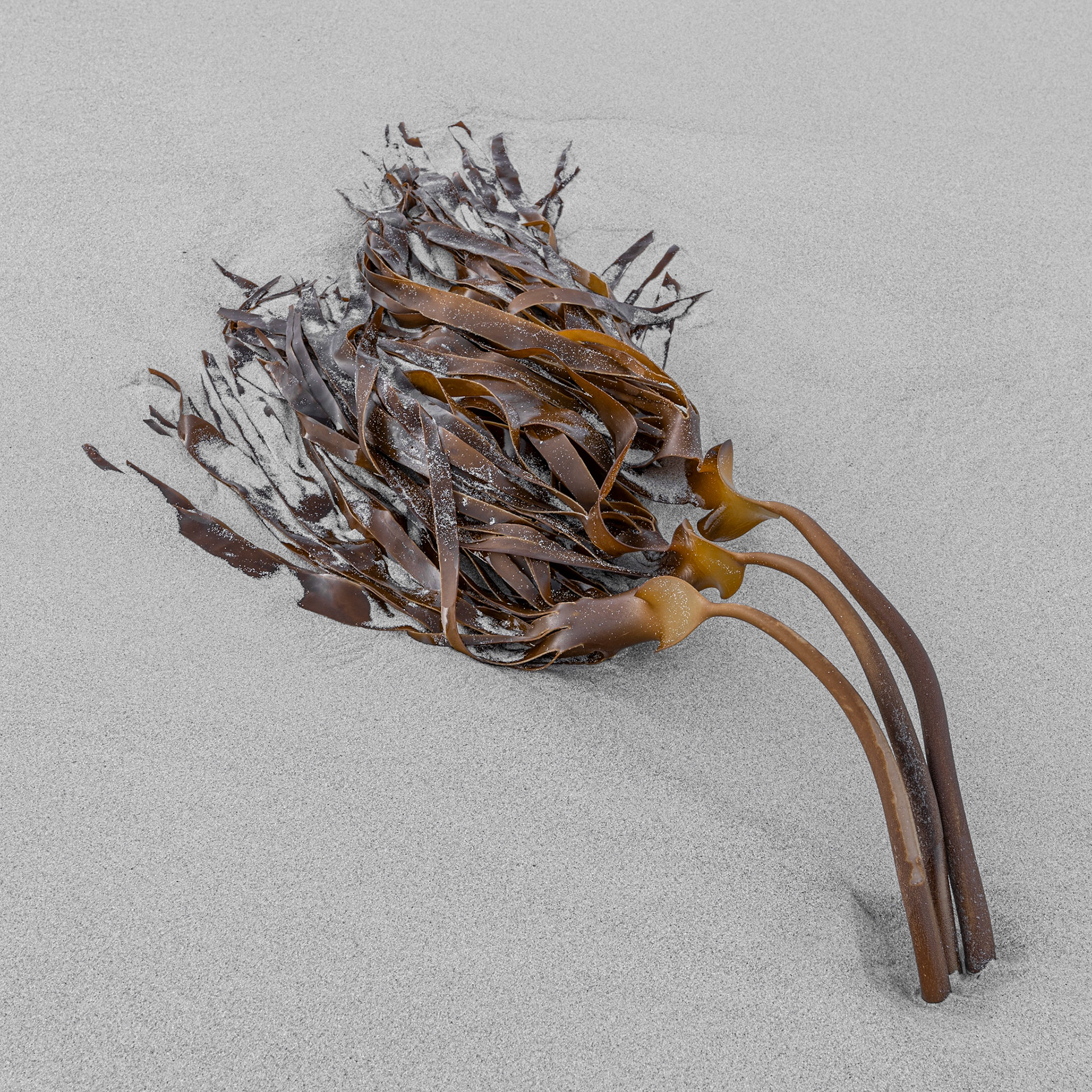 Tre søstre ute på tur