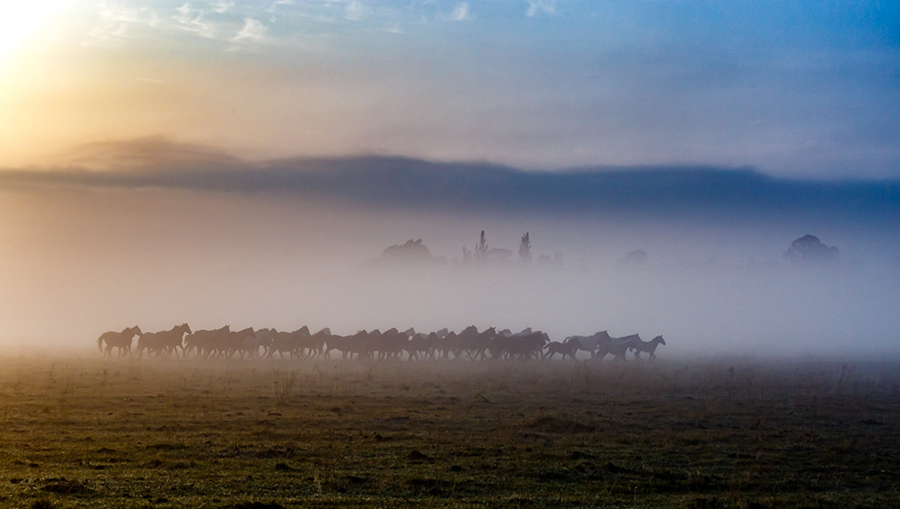 Early morning mist 3