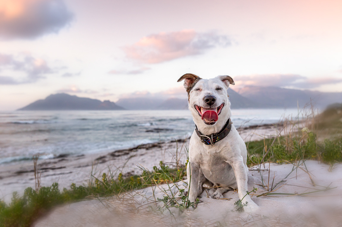 Patch on Kommetjie Beach. Beach Photograph.
