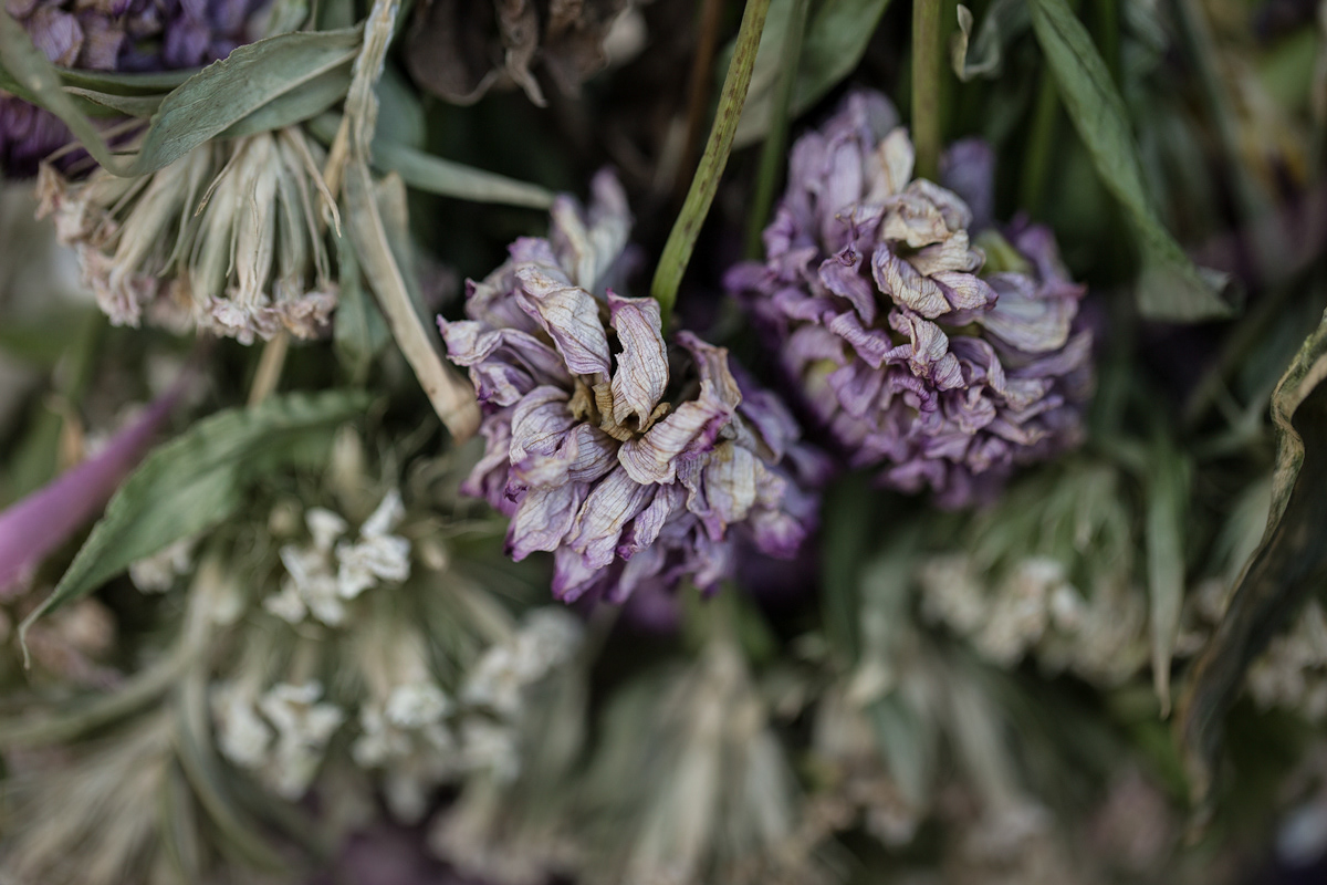 Faded Flowers 1