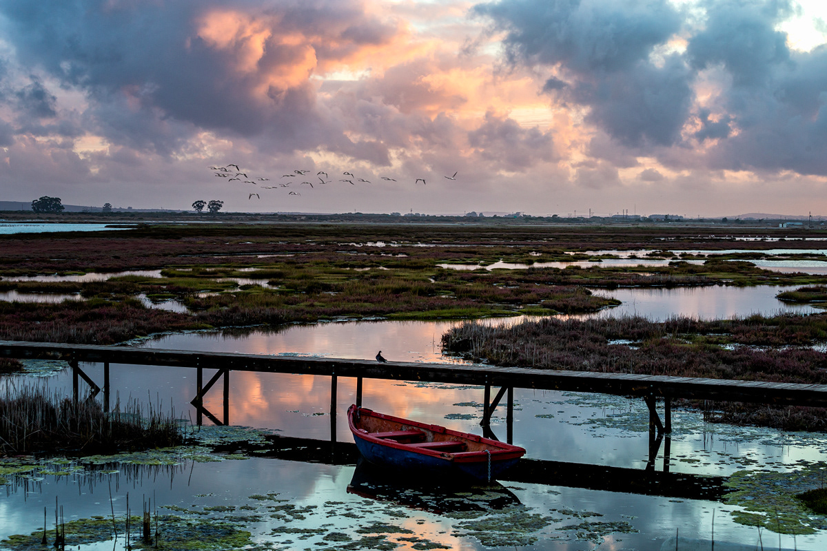 Red Boat Bokkom Laan