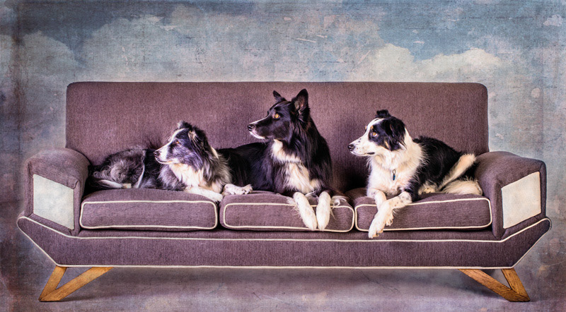 Trio, Jester & Kelly