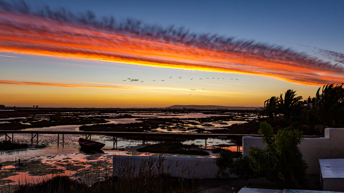 Flaming Cloud Bokkom Laan