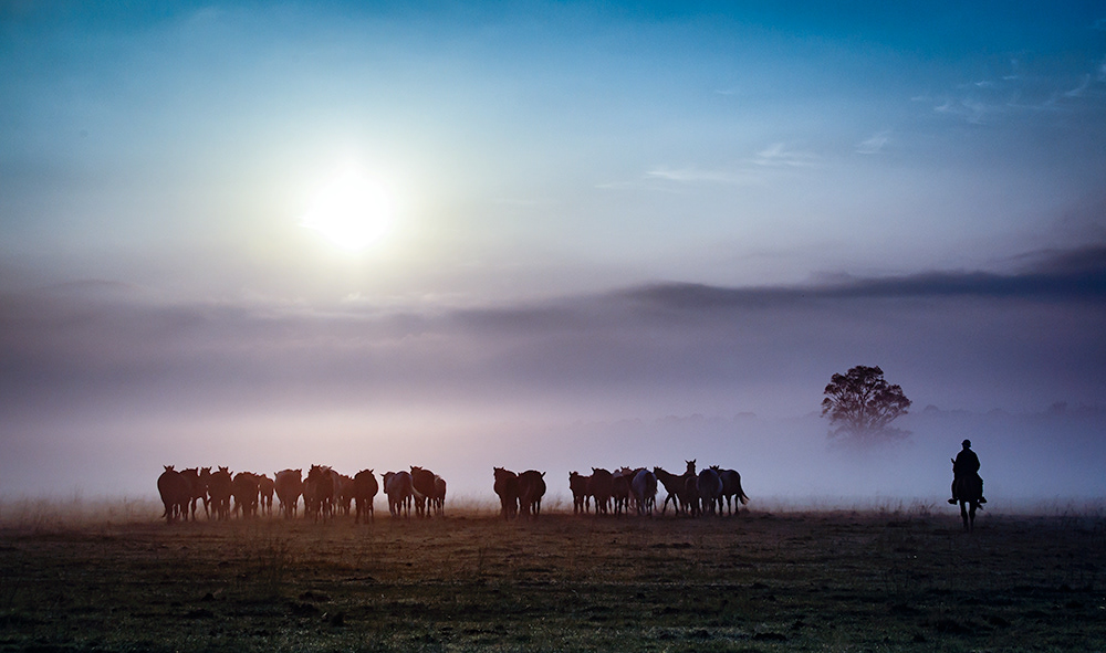 Early morning mist 2