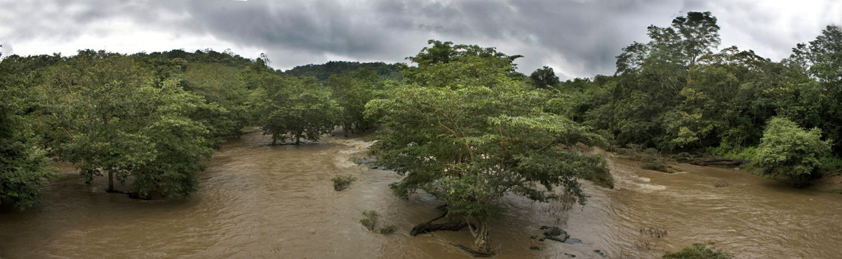 Greenpeace - The Kali river in Karnataka floods the surrounding forest 