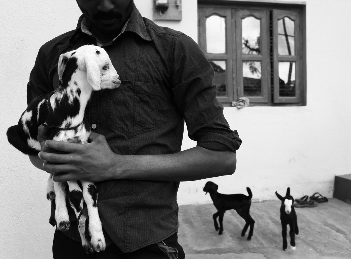 Amnesty - Fighting Wrongful Imprisonment