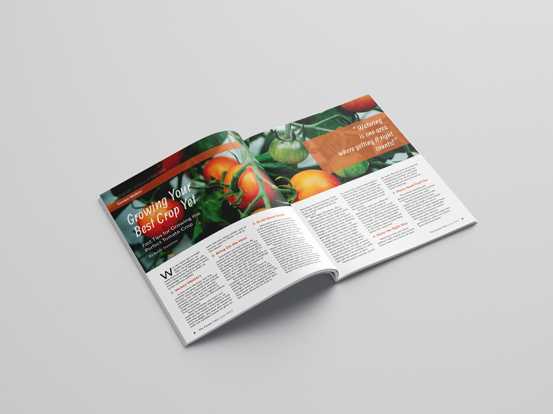 THE FARMIN' LIFE MAGAZINE MOCKUP