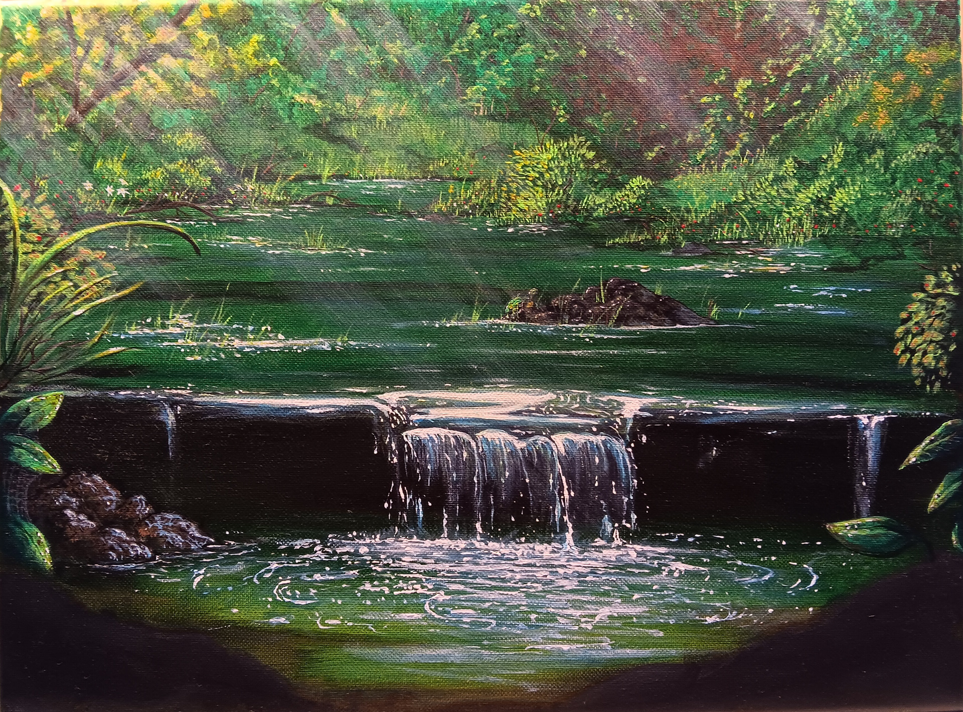 "TURTLE POND" (ACRYLIC ON CANVAS)