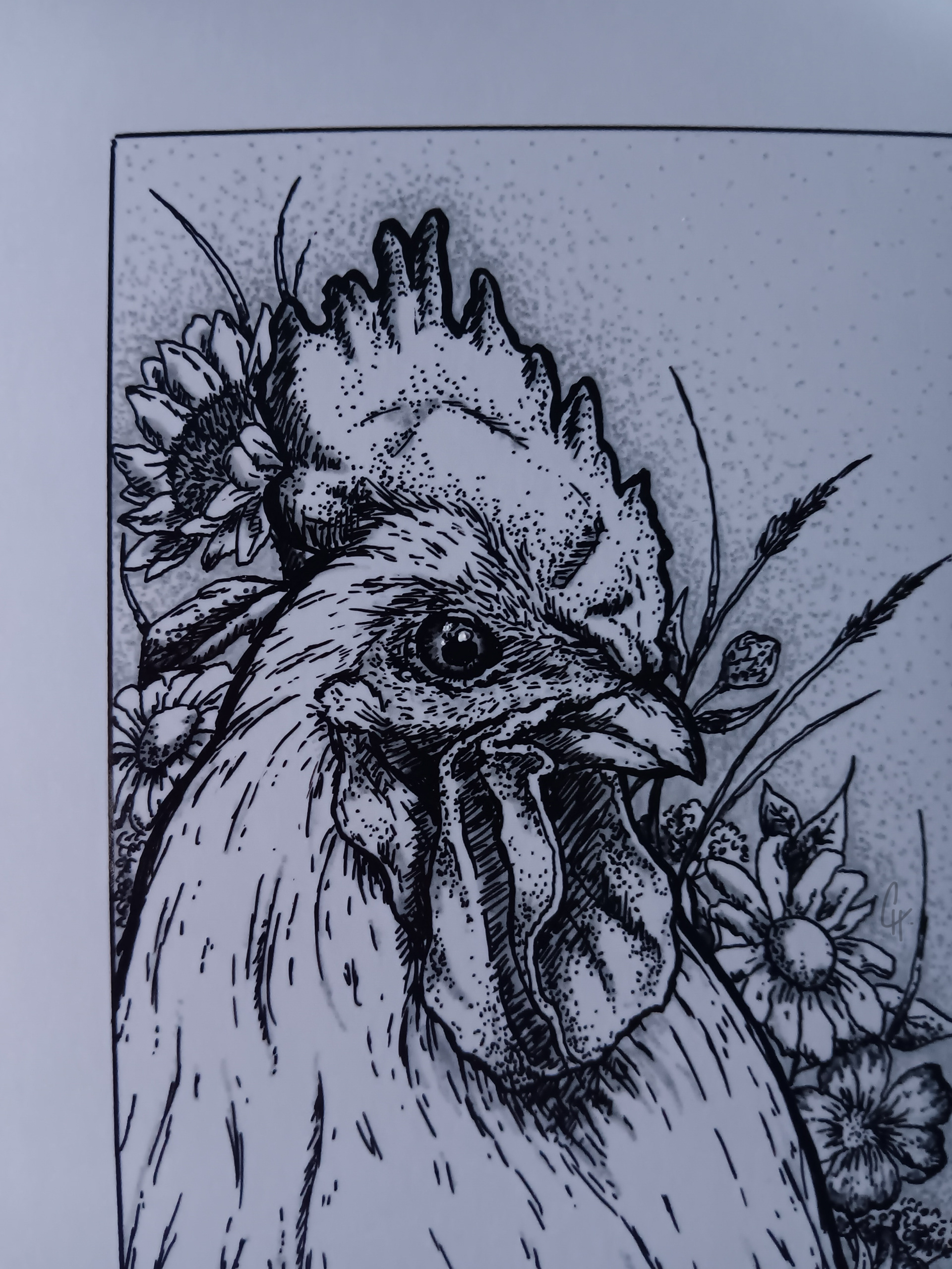 "ROOSTER IN THE FIELD (ILLUSTRATION MARKER ON GLOSSY PHOTO PAPER)