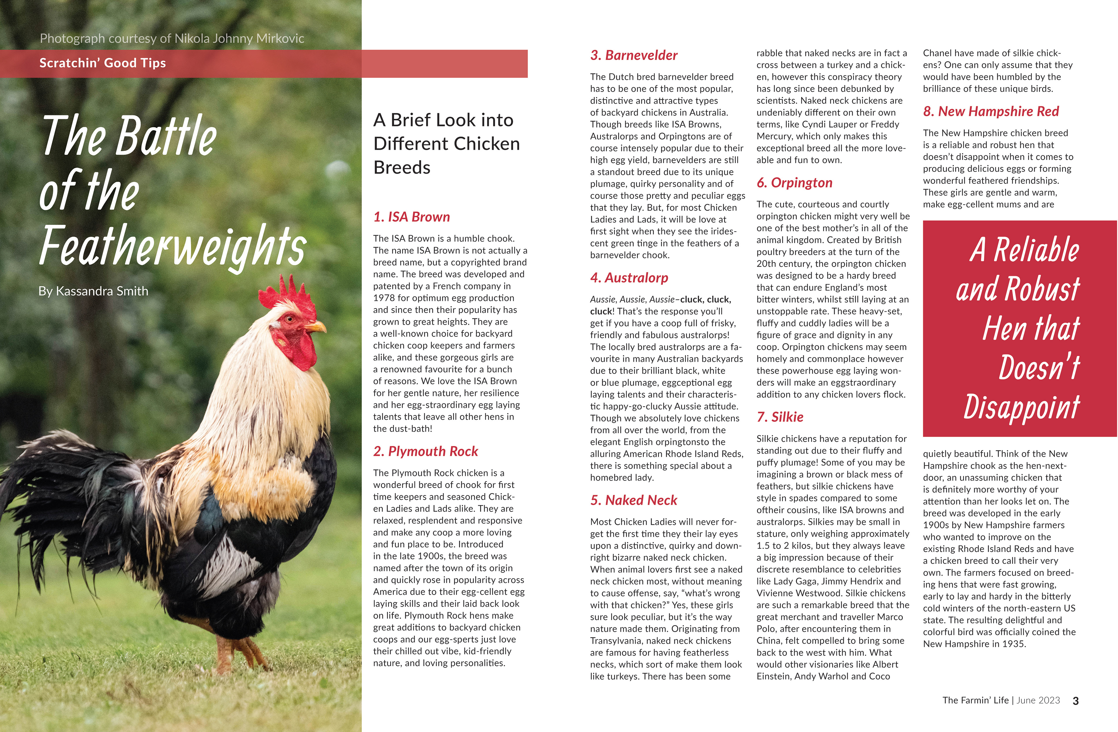 THE FARMIN' LIFE SHORT ARTICLE SAMPLE