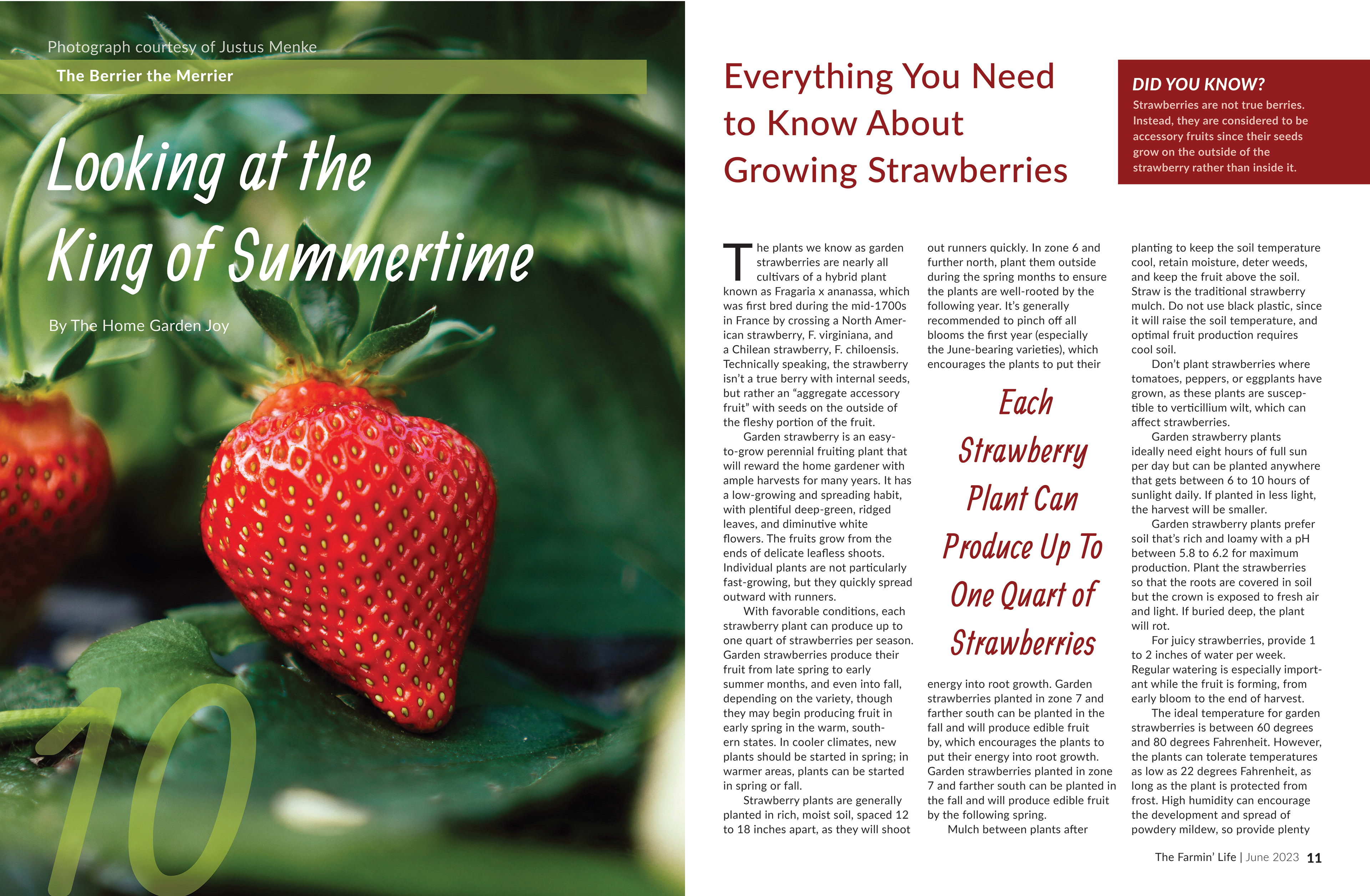 THE FARMIN' LIFE EDITORIAL SPREAD SAMPLE #2