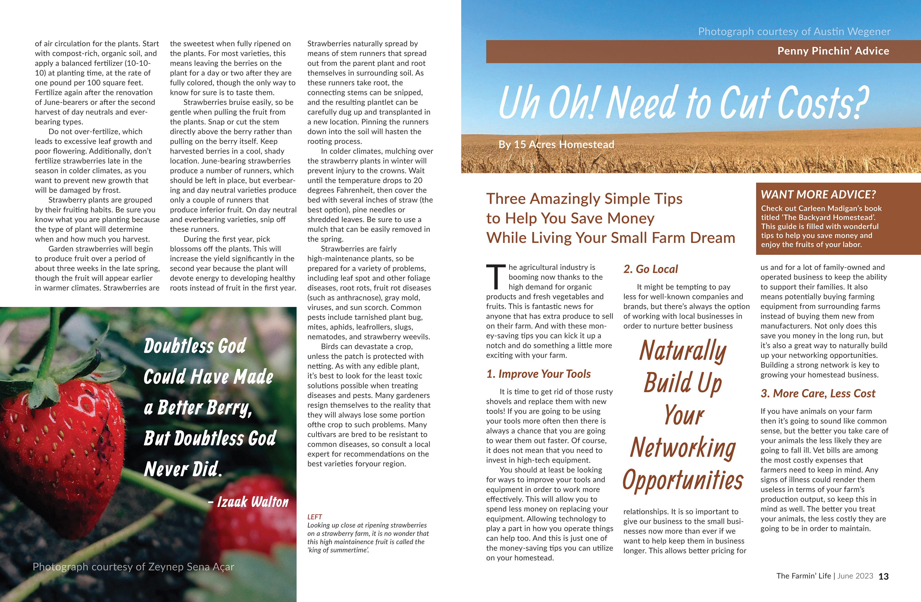 THE FARMIN' LIFE EDITORIAL SPREAD SAMPLE #2
