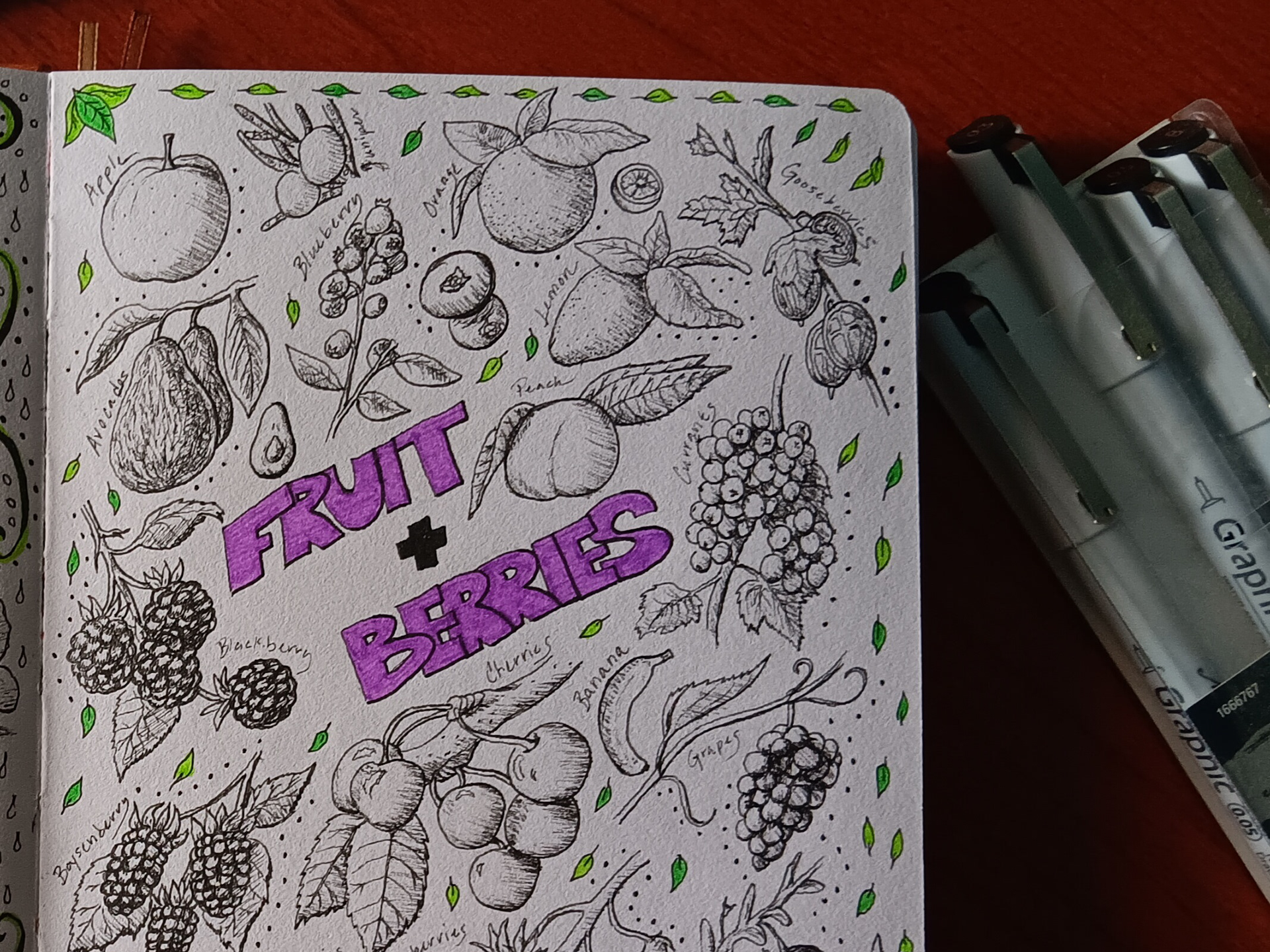 PLANT SKETCH BOOK PEN DRAWINGS