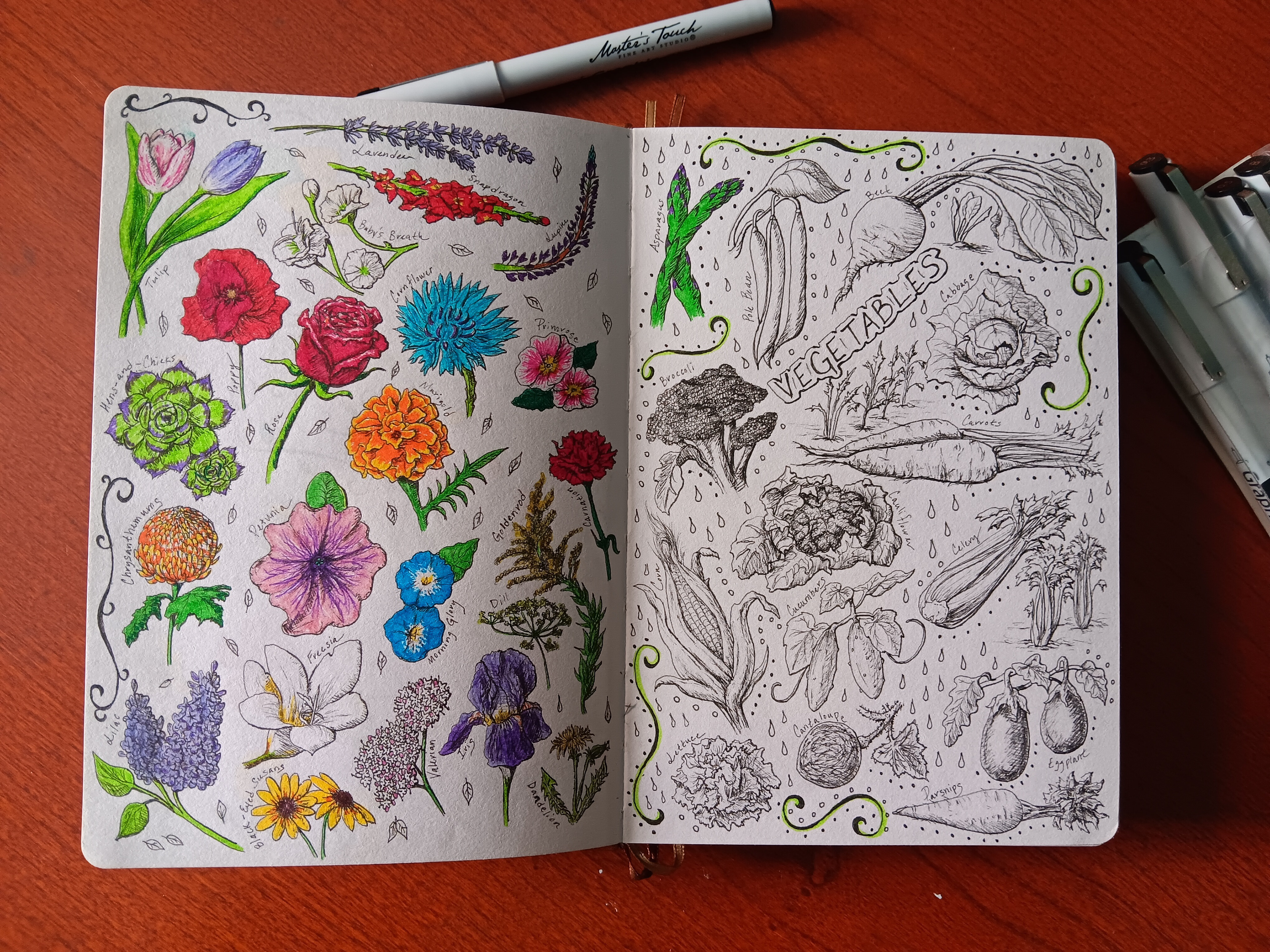 PLANT SKETCH BOOK PEN DRAWINGS