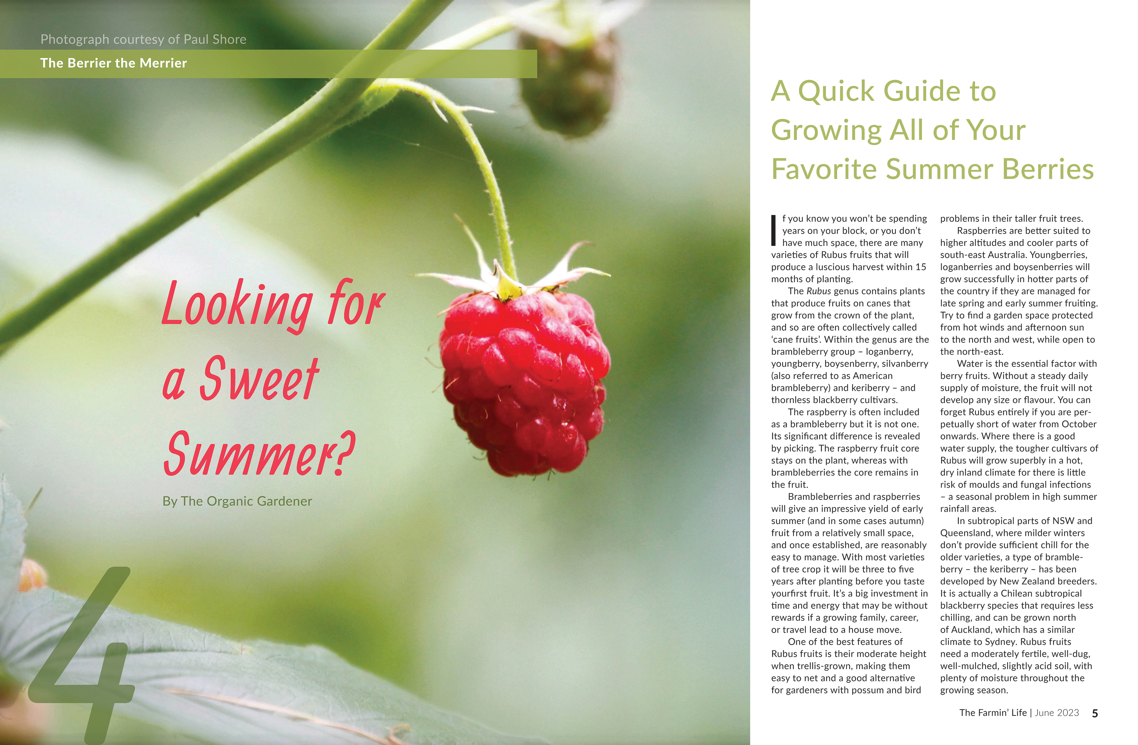 THE FARMIN' LIFE EDITORIAL SPREAD SAMPLE