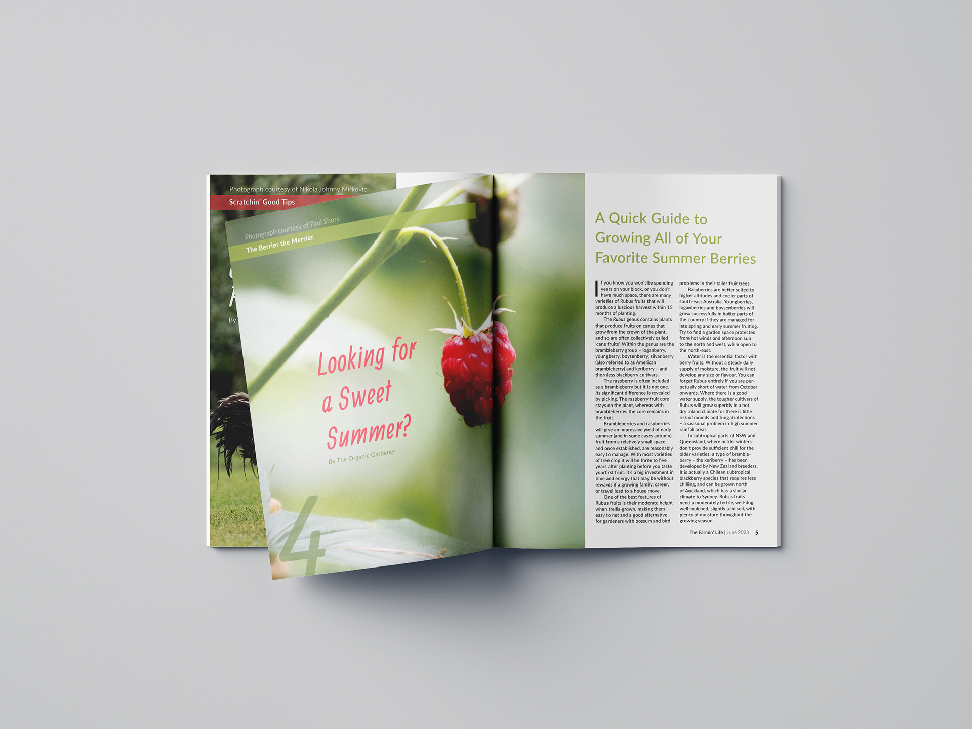 THE FARMIN' LIFE MAGAZINE MOCKUP