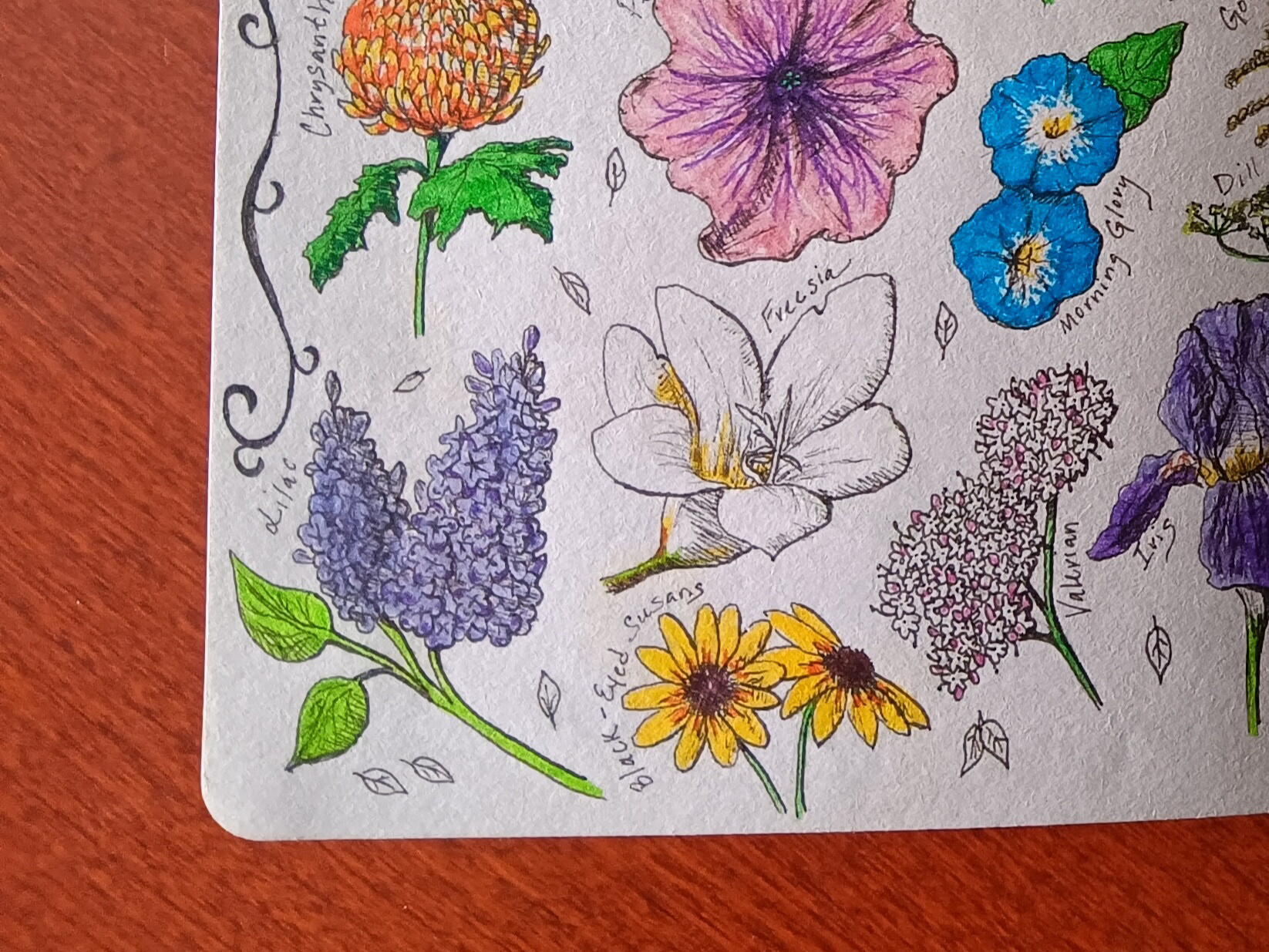 PLANT SKETCH BOOK PEN DRAWINGS