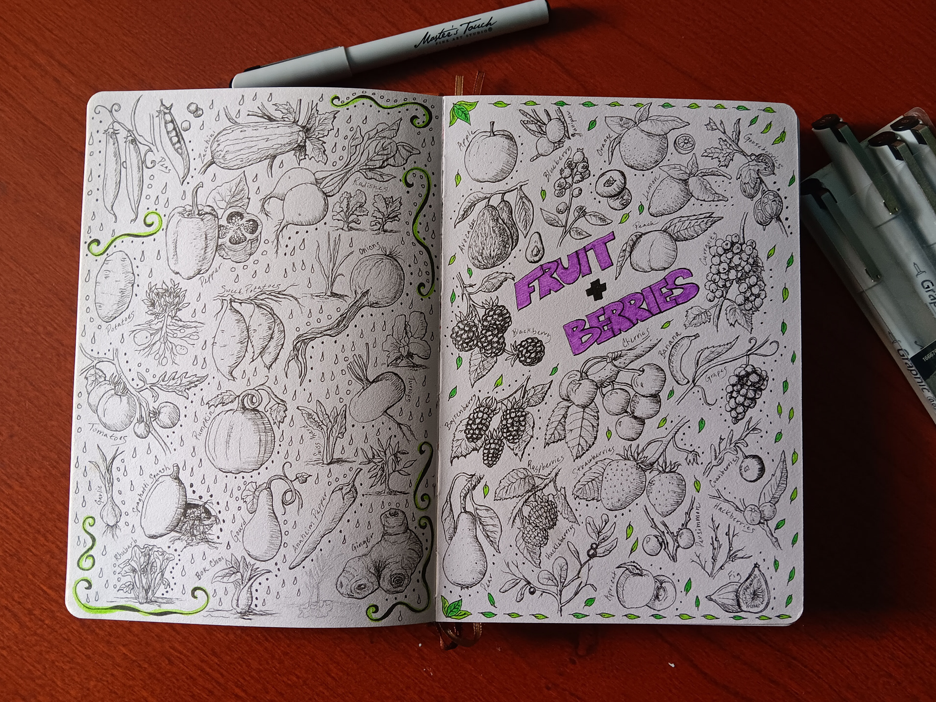 PLANT SKETCH BOOK PEN DRAWINGS