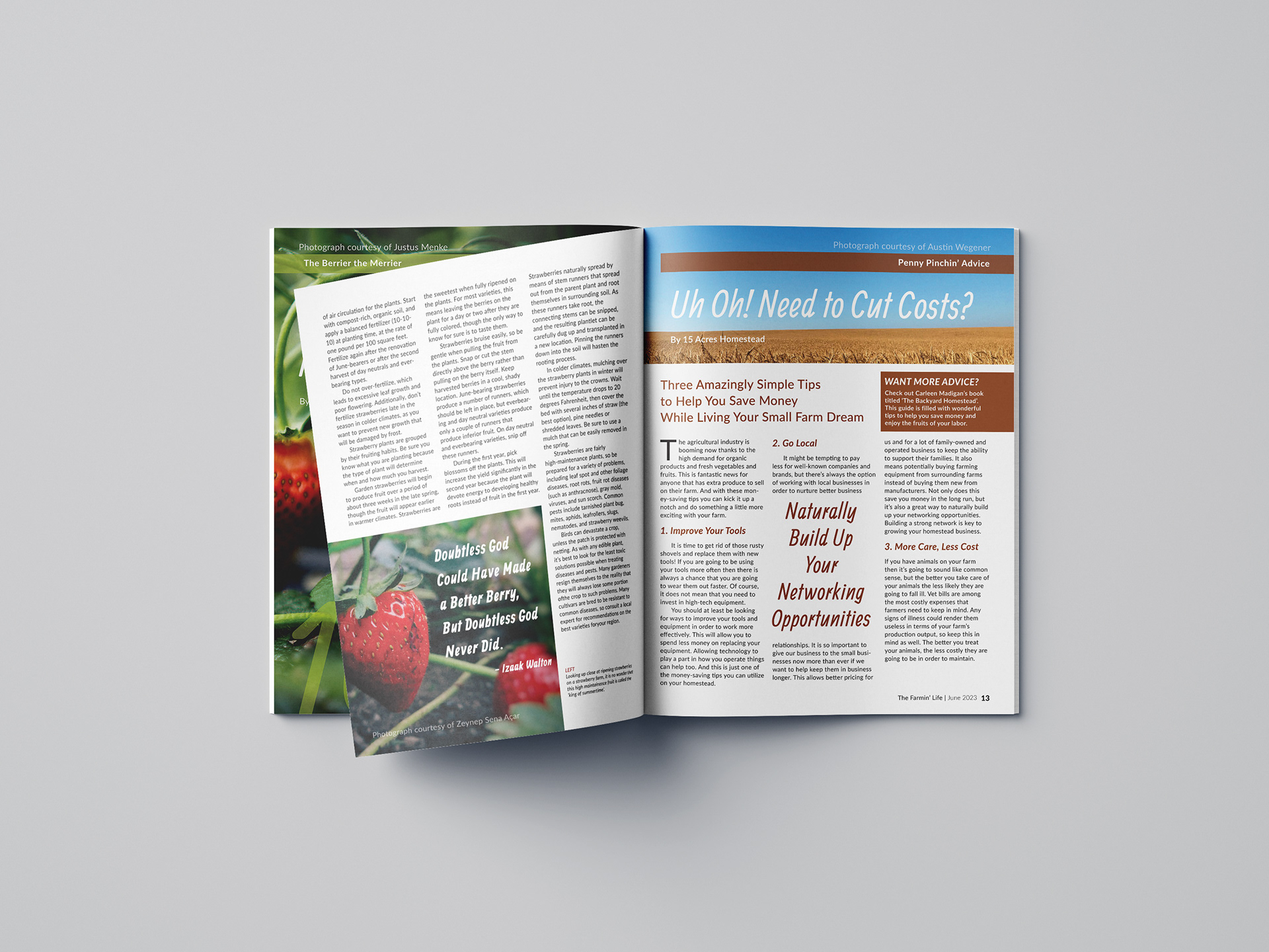 THE FARMIN' LIFE MAGAZINE MOCKUP