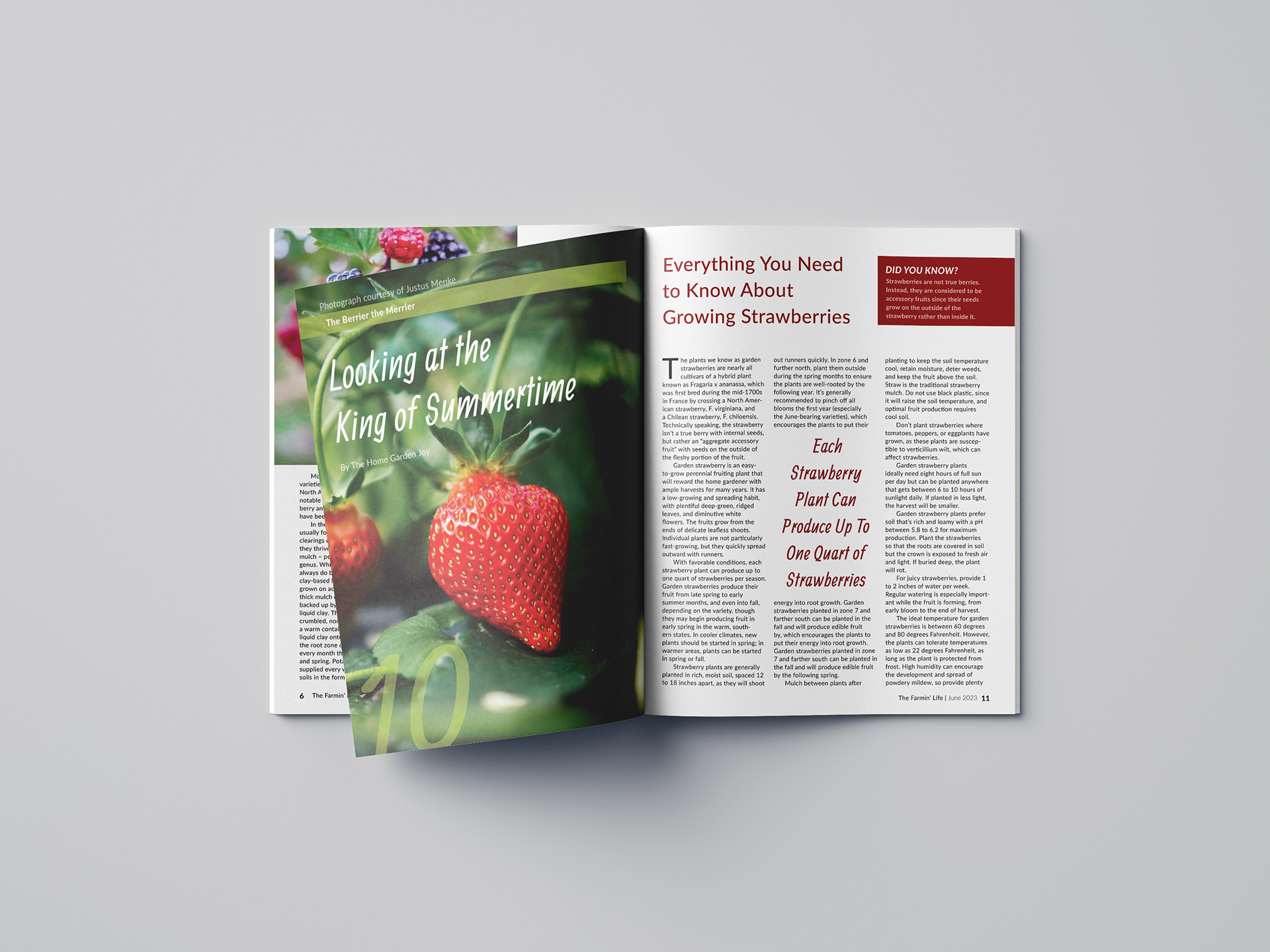 THE FARMIN' LIFE MAGAZINE MOCKUP