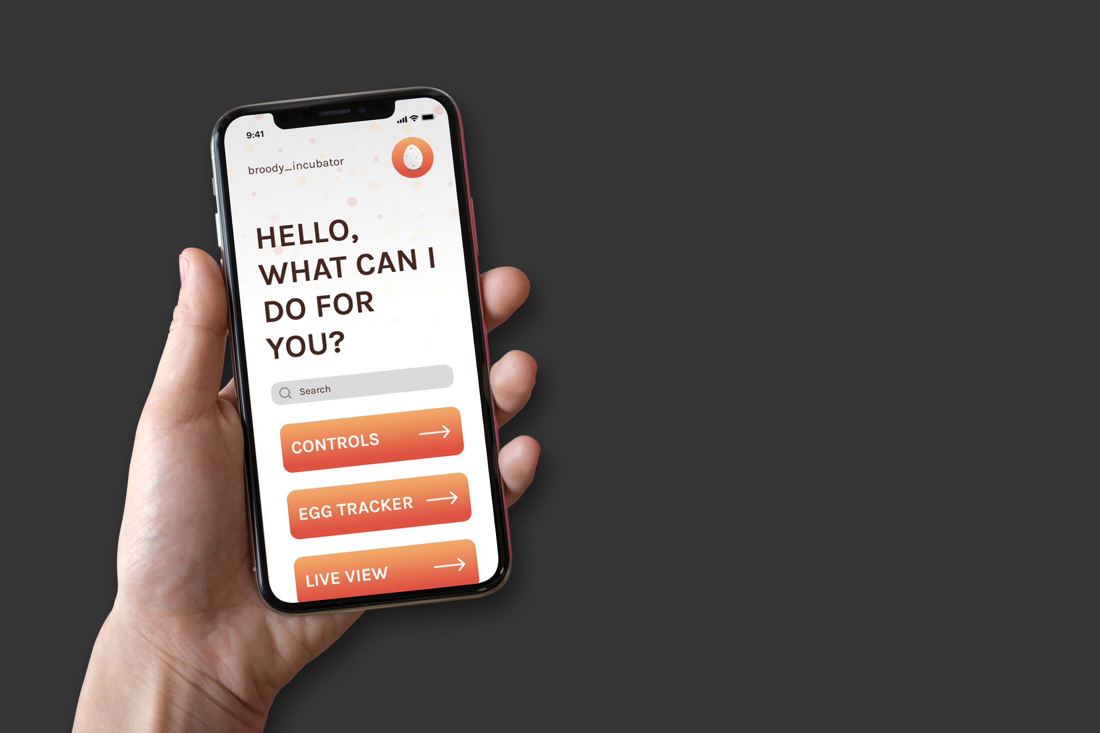BROODY APP HOME SCREEN MOCKUP