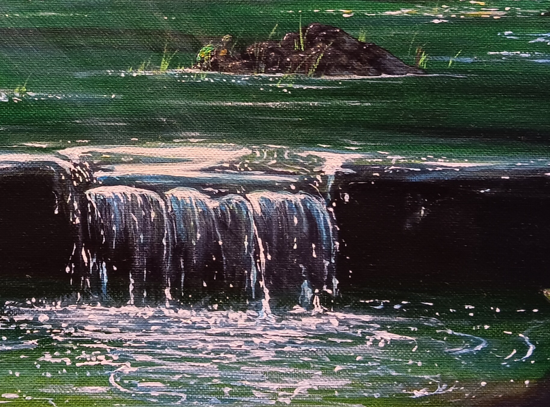 "TURTLE POND" (ACRYLIC ON CANVAS)
