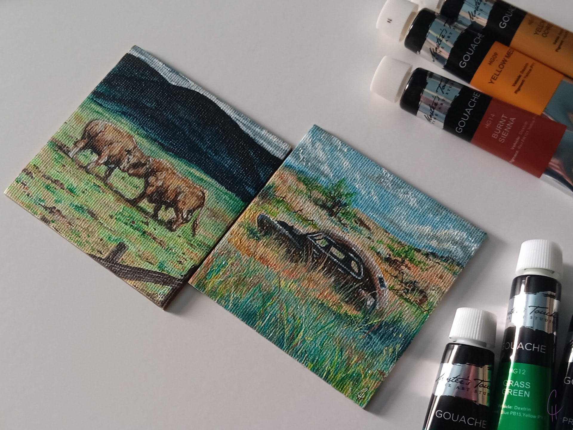"BULLS IN THE PASTURE" & "RUSTED" (GOUACHE ON MINI CANVAS)
