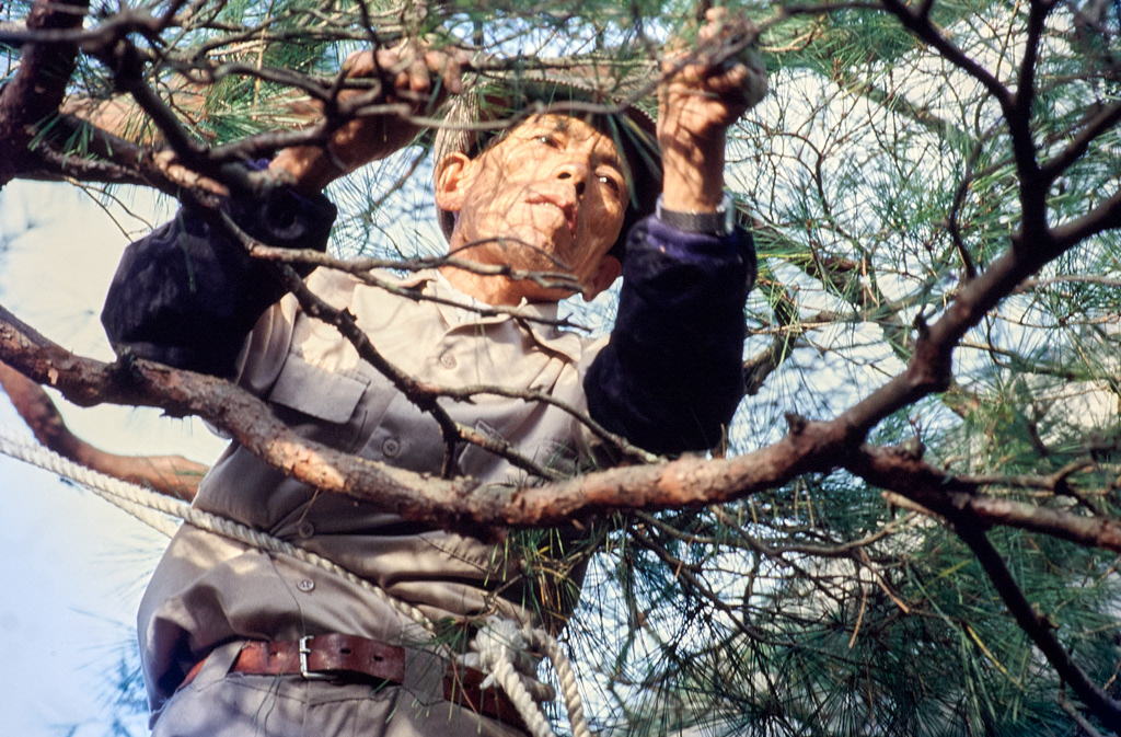 Japon-Kyoto-Ryoanji-01-11-90