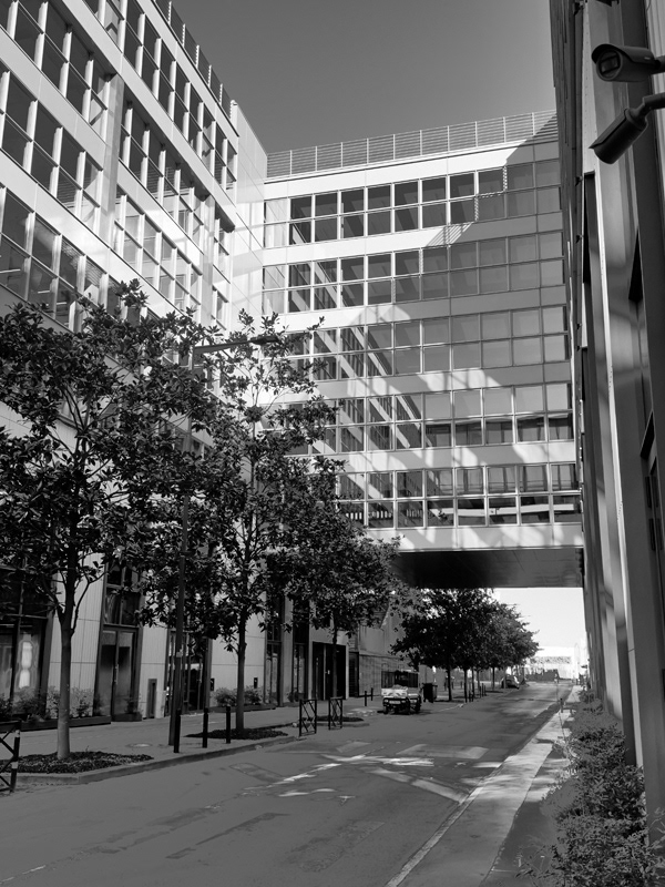 2025-rue Elsa Triolet