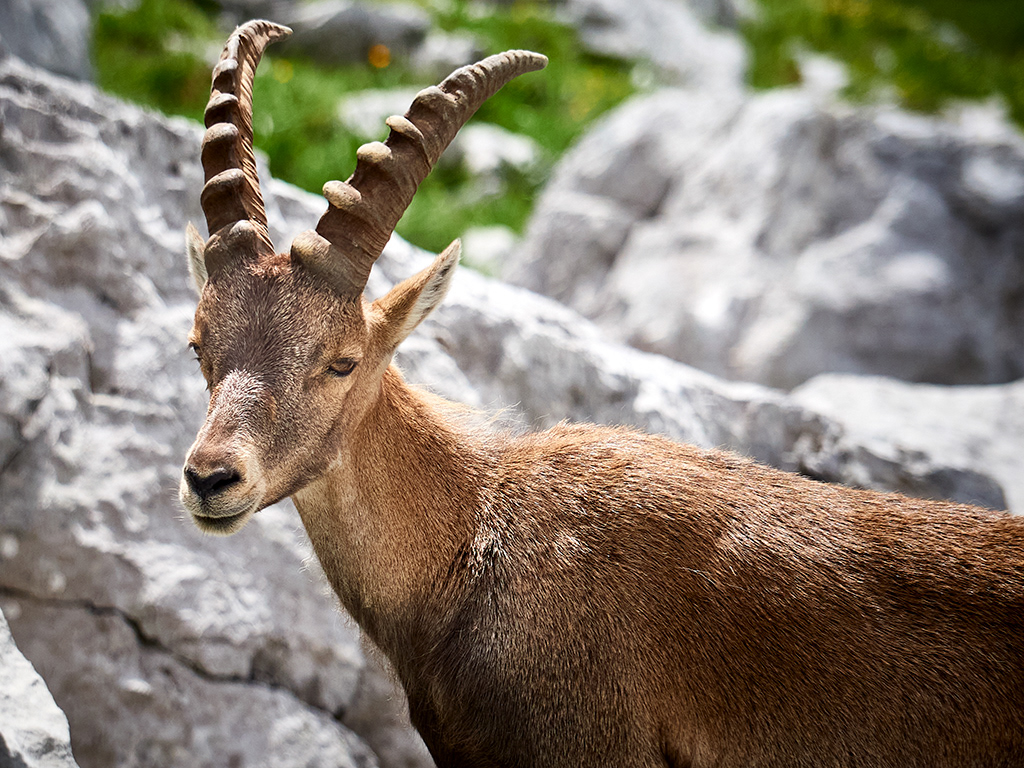 2021-vers le Lac de Peyre