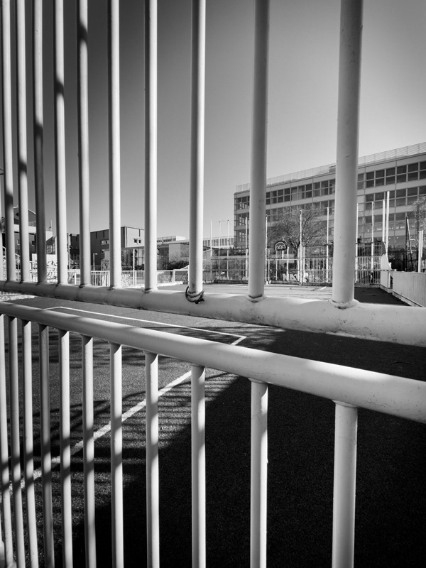 2025-Square Hannah Arendt