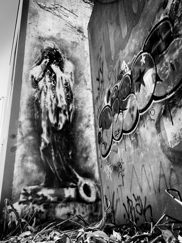 2025-Les Murs à Pêches