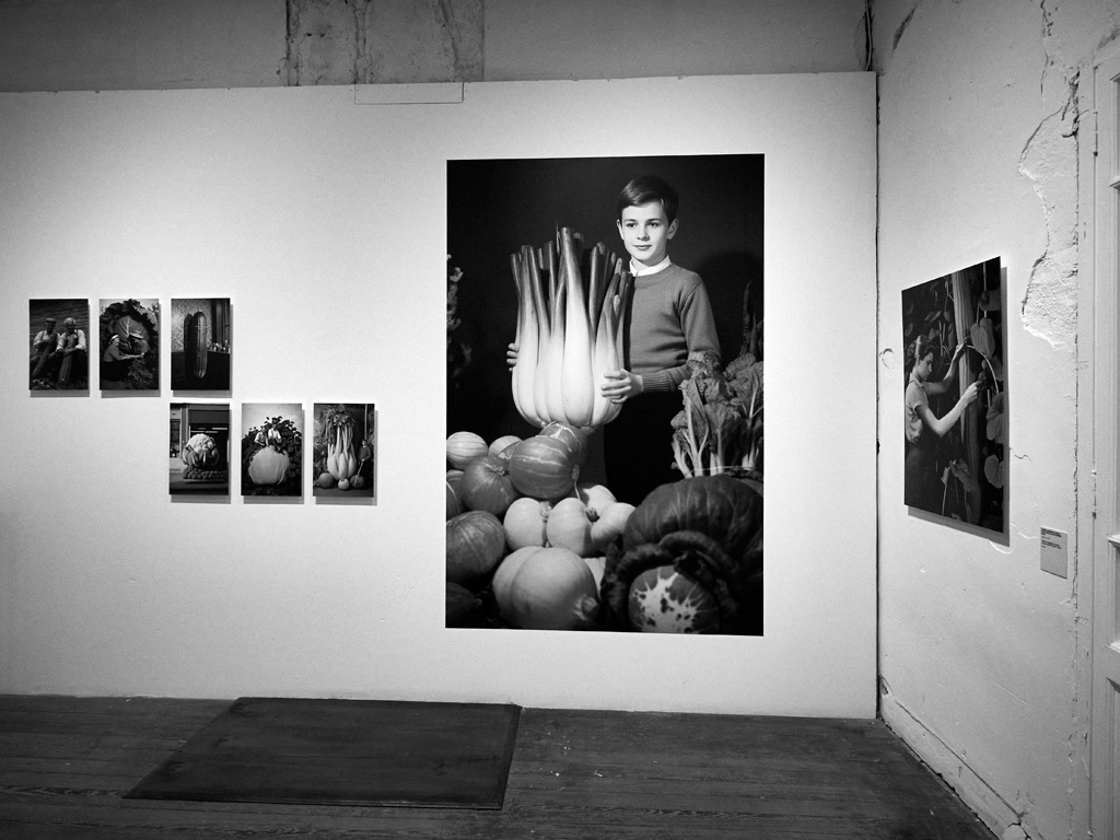 Arles - 2024 - Bruce Eesly -Croisière