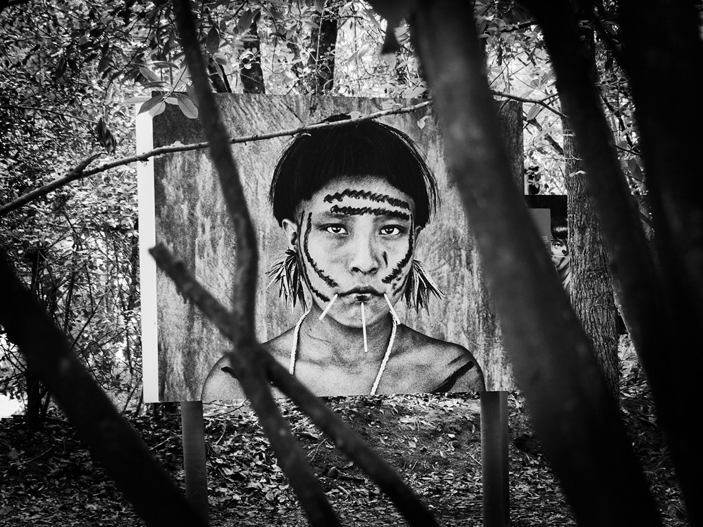 2023 - La Gacilly - Salgado