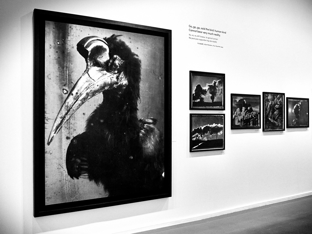 2021 - Sarah Moon - Musée d’Art Moderne de Paris
