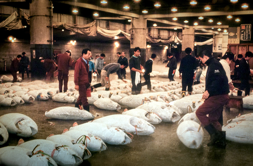 Japon-Tokyo-Marché aux poissons-Tsukiji-31-10-90