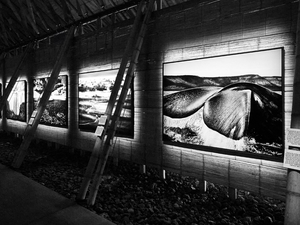 2022 - Sebastiao Salgado - Expo Aqua Mater - Paris La Defense 