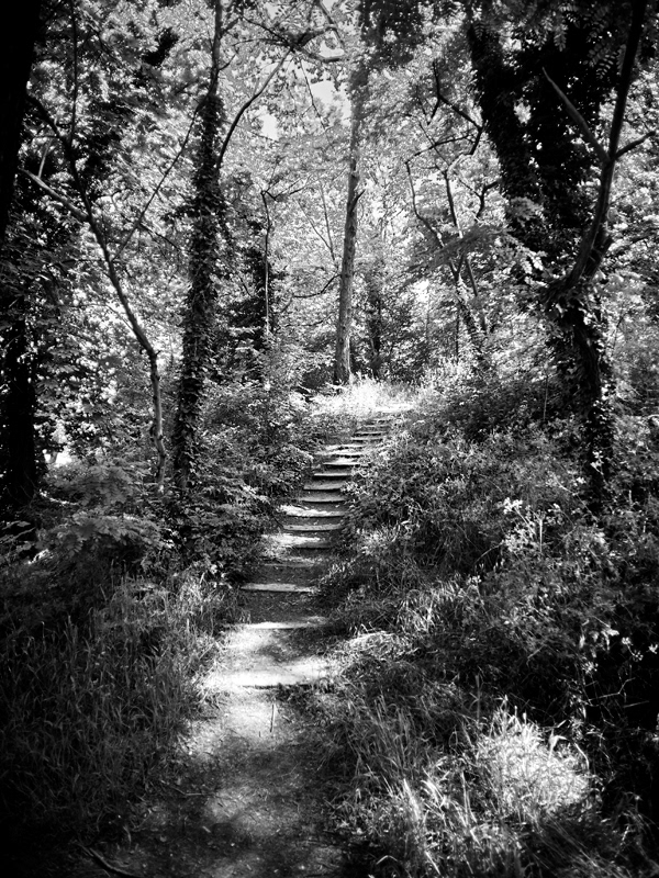 2013-Parc des Beaumonts