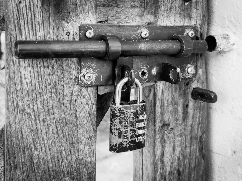 2025-Les Murs à Pêches