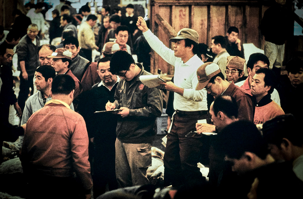 Japon-Tokyo-Marché aux poissons-Tsukiji-31-10-90