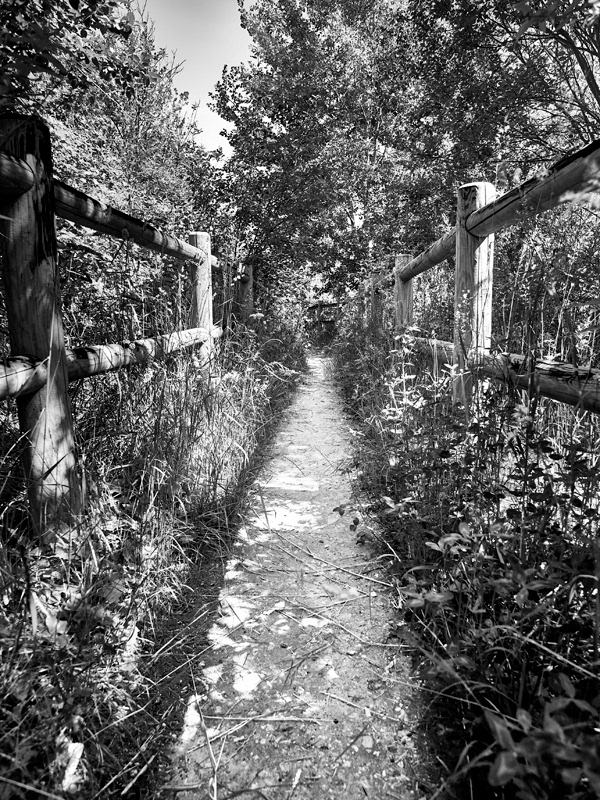 2013-Parc des Beaumonts